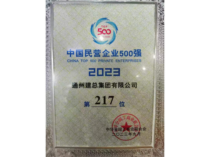 2023年中国民营企业500强